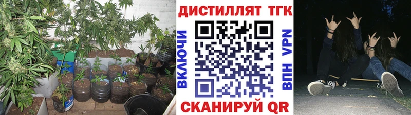 Дистиллят ТГК концентрат  KRAKEN сайт  Боровск 